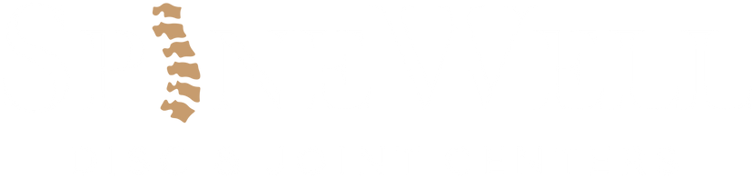 SpineWell Disc & Joint Centers